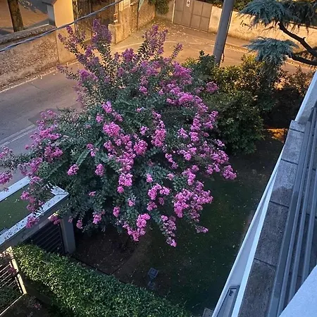 Comfortable - Monza Park With Garage Apartment *