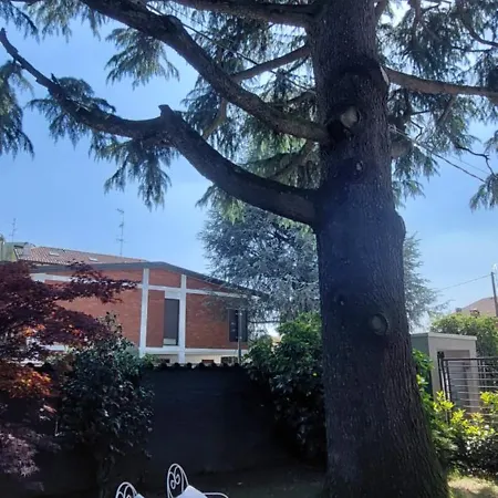 Comfortable - Monza Park With Garage Biassono